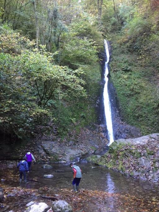Tamar Valley, Cornwall Callington Bagian luar foto